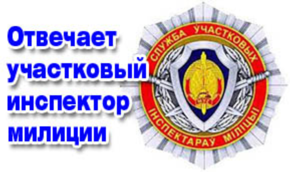 Участковый инспектор милиции