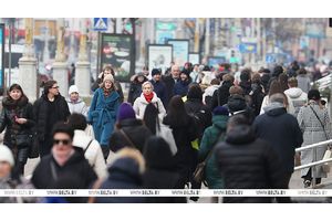Социсследование: 85,5% белорусов планируют принять участие в выборах Президента