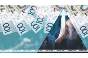 Почти Br10 тыс. С 1 февраля вырастут субсидии от государства на организацию своего дела