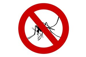 Как защититься от комаров
