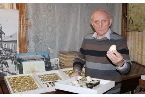 517 яиц ста видов птиц хранятся в уникальной коллекции музея Лебедевской школы