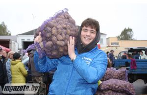 Узнали, что предлагают покупателям на региональной ярмарке в Молодечно