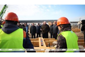 Образец для Полесья. Лукашенко представили проект опытного строительства МТК из деревянных конструкций