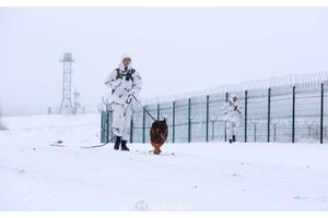 Президент утвердил решение на охрану госграницы в 2023 году