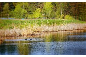 Облачно с прояснениями и до +18°С будет сегодня в Беларуси