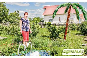 Бульба побач з пальмай? А чаму і не!