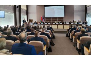 Чеботарь: при высоких темпах роста экономики обеспечена ее сбалансированность