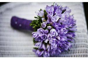 8 САКАВІКА – ДЗЕНЬ ЖАНЧЫН