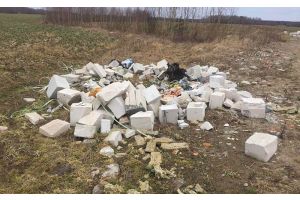 Каждый утилизирует мусор по-своему