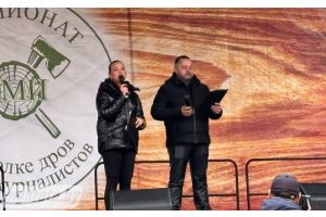 Победила дружба (и двуручная пила тоже)