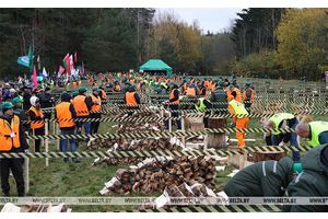 Дрова с чемпионата по колке доставили двум одиноким пожилым людям из Минской области