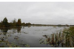 Очередная жертва водной стихии. В Молодечненском районе утонул рыбак