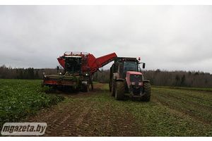 В Полочанах заботятся о людях и наращивают производство