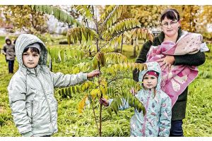 Новая традиция агрогородка