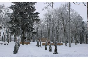 Агрогородок предлагают сделать самым танцевальным