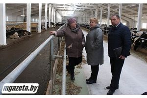 Сертификат для животноводов