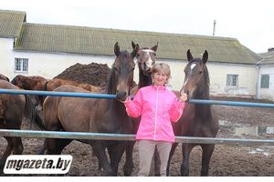 Кони в яблочках – значит, сытые и здоровые