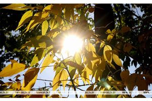 До +28°С и местами дожди ожидаются сегодня в Беларуси