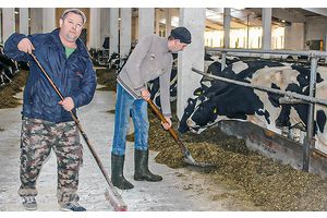 Вынікі радуюць