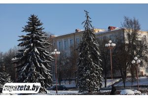 Чего ждать от погоды в Беларуси 12 февраля, сообщили синоптики