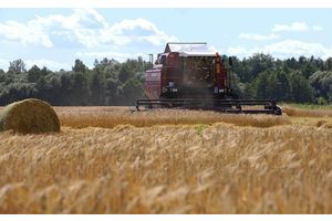 В Минской области убрано 45 % площадей культур