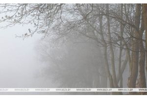 Туман, дожди и почти +20°С. Что будет с погодой сегодня