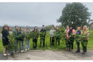 Накануне Дня народного единства на территории Полочанской школы высадили 17 деревьев