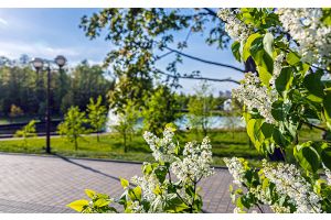 Сегодня в Беларуси облачно с прояснениями