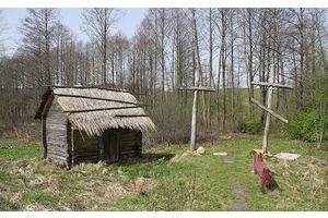 Паўтары сотні сячкарняў у адным месцы