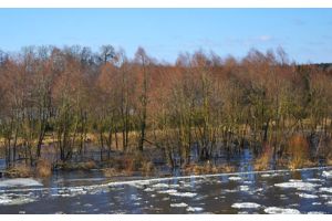 Малооблачно и без осадков. Чем порадует погода 16 марта, рассказали синоптики