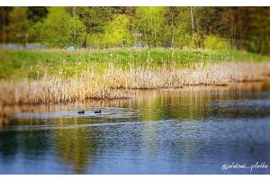 Кратковременные дожди и до +19°С. Какой будет погода в Беларуси сегодня