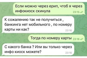 Ни денег, ни праздника. Молодечненку обманули при покупке елки