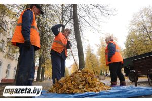 Уборка осенней листвы