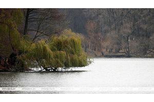 До +9°С и сильные порывы ветра: чем погода сегодня удивит белорусов