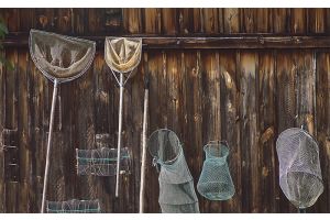 Рыбные ресурсы под охраной