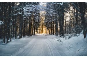 До -14°С и без осадков. Какой будет погода в Беларуси 19 января