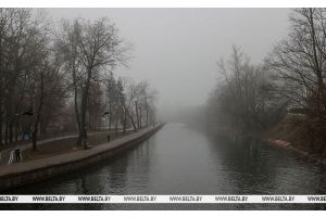 Небольшие осадки и туман. Какая погода будет в Беларуси сегодня