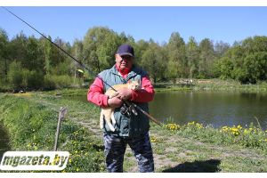 Персік – сапраўдны рыбацкі кот