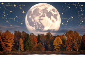 Гороскоп на 20 октября