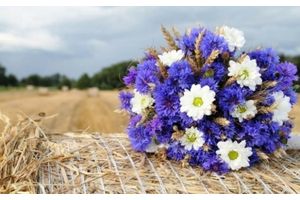 Лучшие организации СПК, работники сельского хозяйства Молодечненского района за 2018 год