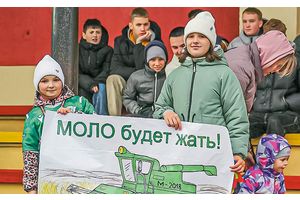 Домашнее поражение