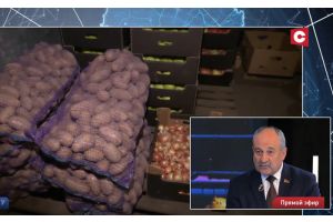 Минсельхозпрод и МАРТ прокомментировали наличие лука и картошки в магазинах