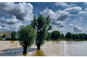 Число погибших во время наводнений в Йемене достигло 60 человек