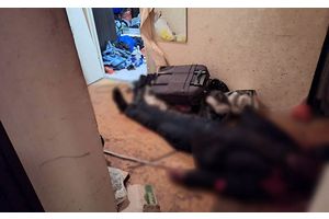 Бил до потери пульса