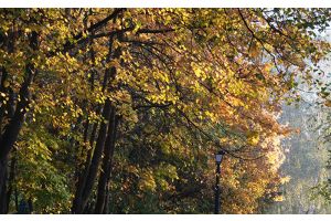 До +17°С ожидается сегодня в Беларуси