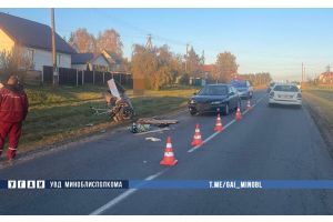 В Молодечненском районе иномарка столкнулась с мотоблоком