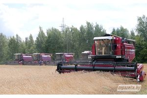 В Борисове отметят лучших на уборке урожая в Молодечненском районе