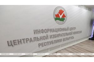 ЦИК сообщил, когда будут прямые включения в день выборов