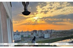 До +29°С, кратковременные дожди и грозы. Какой будет погода в Беларуси