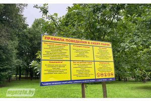 Занимаясь скейтбордингом, помните о своей безопасности